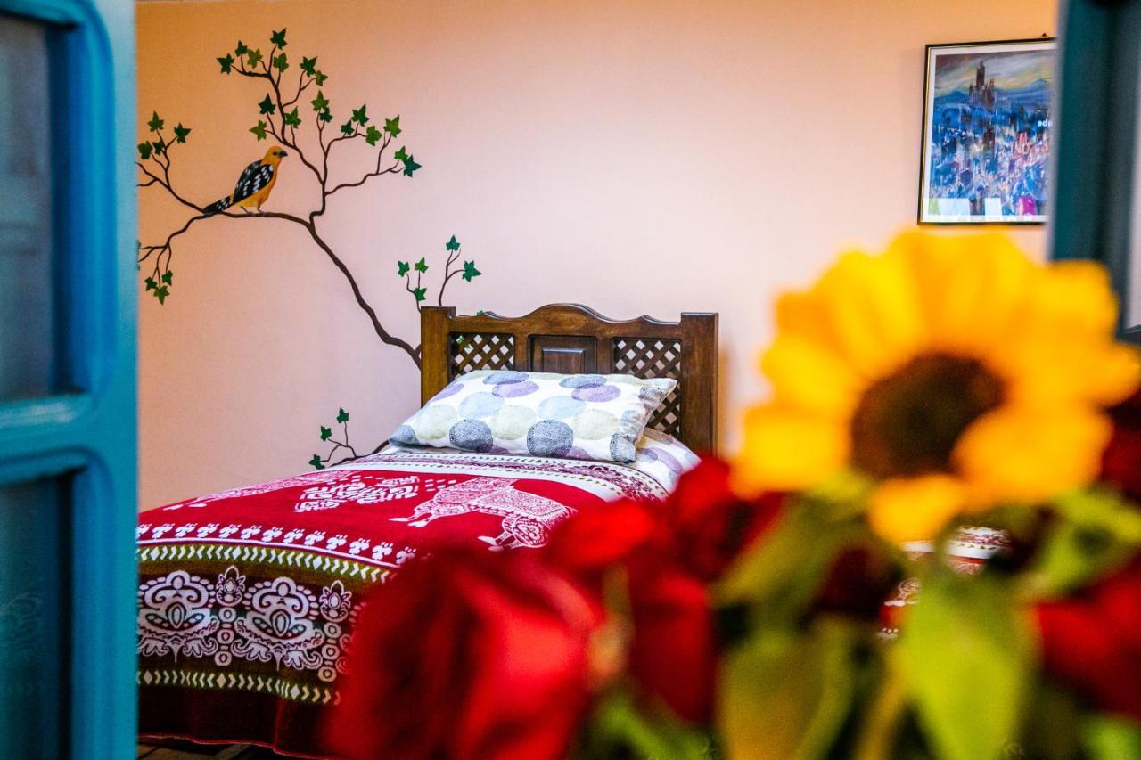 Itchimbia Garden Con La Mejor Vista De Quito Y Spa Eksteriør billede