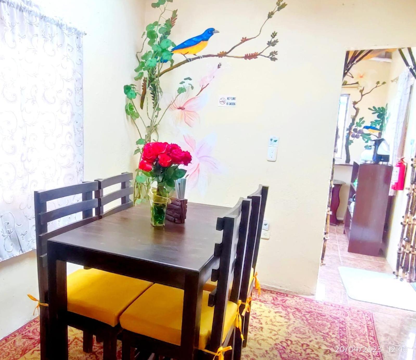 Itchimbia Garden Con La Mejor Vista De Quito Y Spa Eksteriør billede